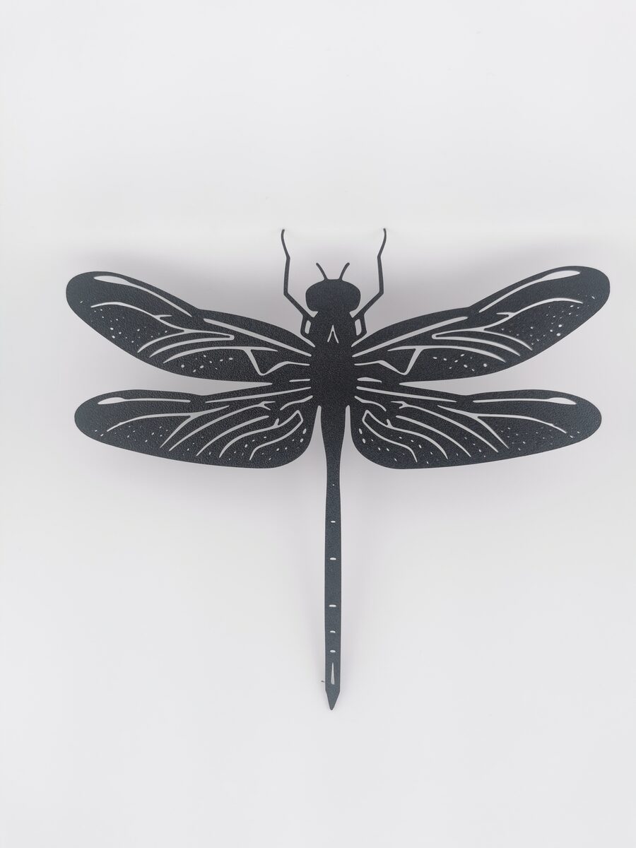 2d Dragonfly - thumbnail 2
